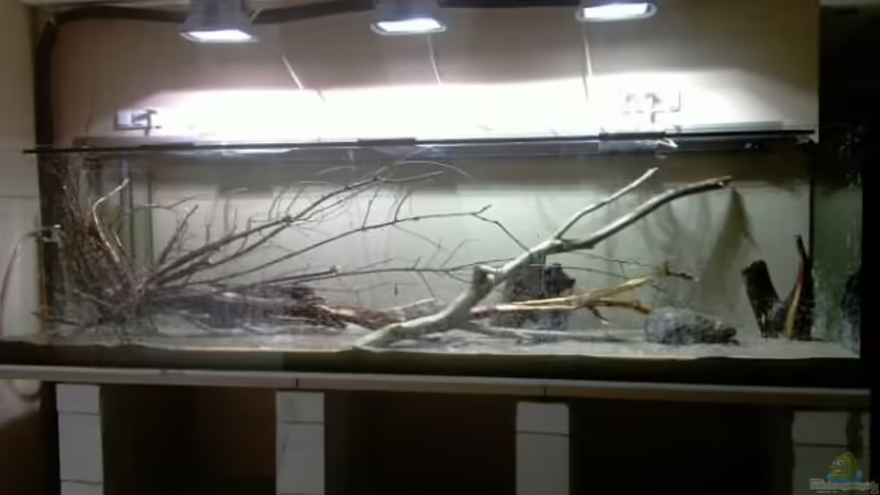 Rohzustand von kellerkind (18)