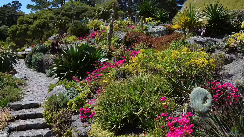 Rolle, Funktion und Nutzen: Welche Bedeutung haben Botanische Gärten?