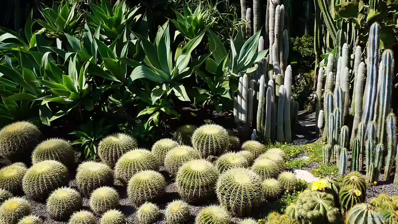 Rolle, Funktion und Nutzen: Welche Bedeutung haben Botanische Gärten?