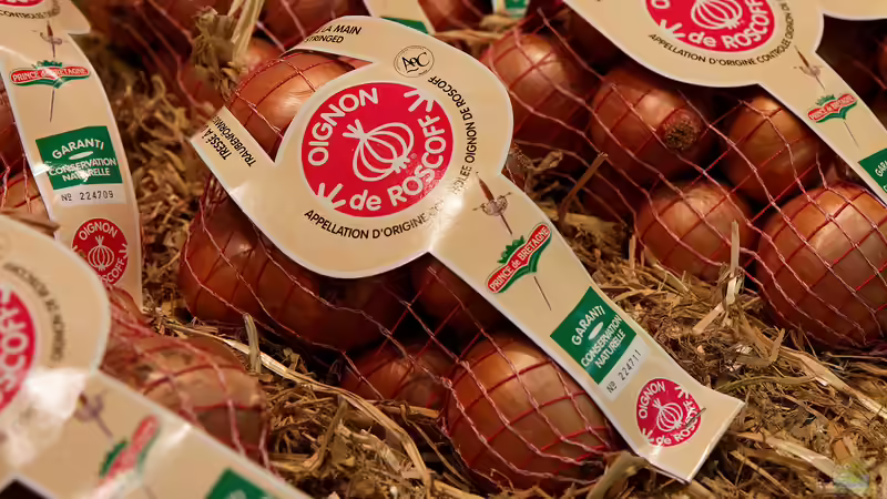 Roscoff - Die Zwiebelinsel vor der bretonischen Küste