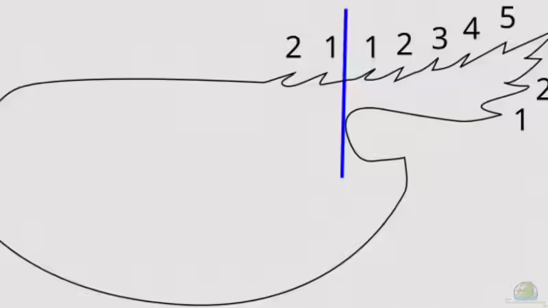 Rostrumformel: Ein umfassender Leitfaden für Aquaristik-Enthusiasten
