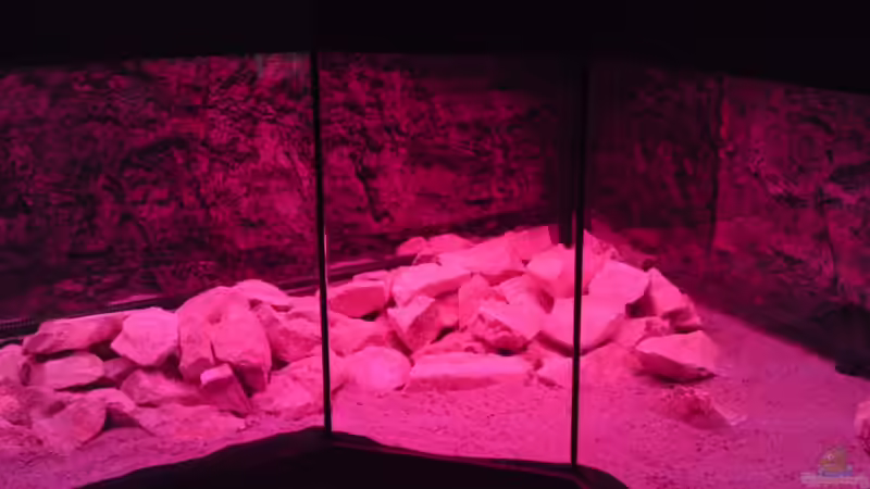 Rote LEDs für Morgen- oder Abendrot. von GGuardiaNN (79)