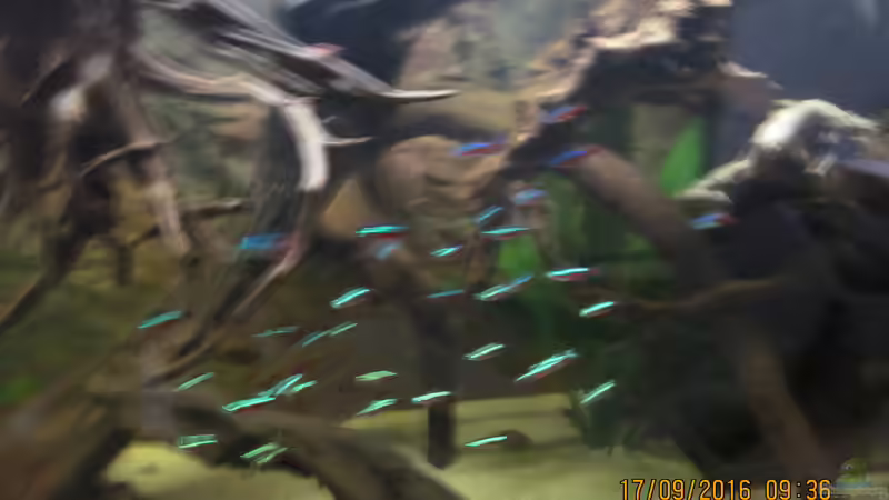 rote Neon,leider zu schnell für meine Kamera von Ottche (40)