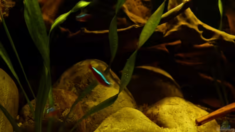 rote Neons 01.07.13 von ~Marco~ (41)