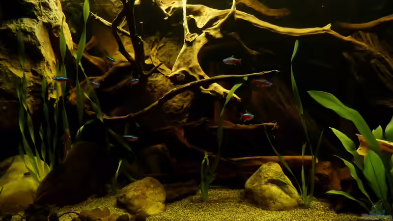 rote Neons 19.03.13 von ~Marco~ (47)