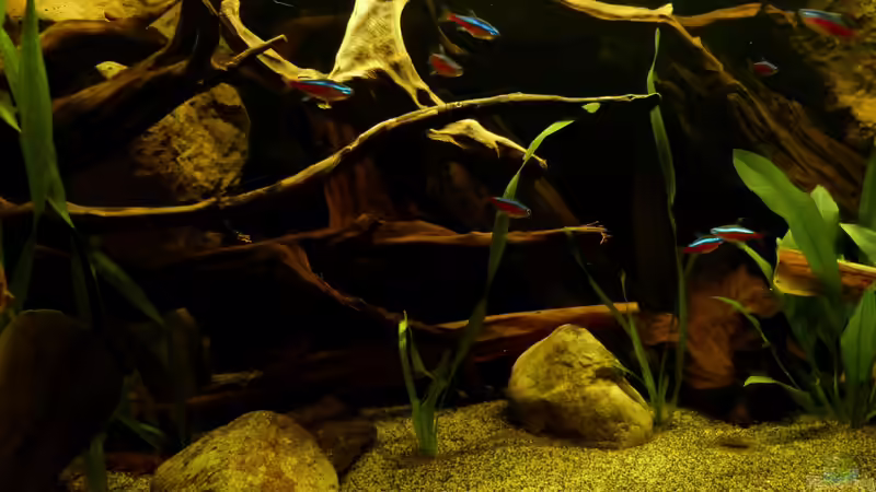 rote Neons 19.03.13 von ~Marco~ (48)