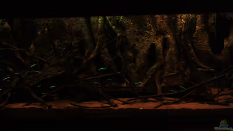 Rote Neons von Bämbel (39)