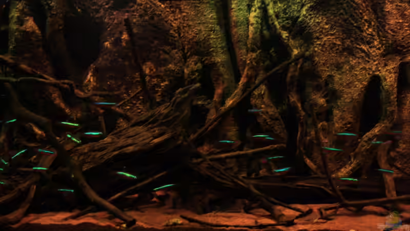 Rote Neons von Bämbel (40)