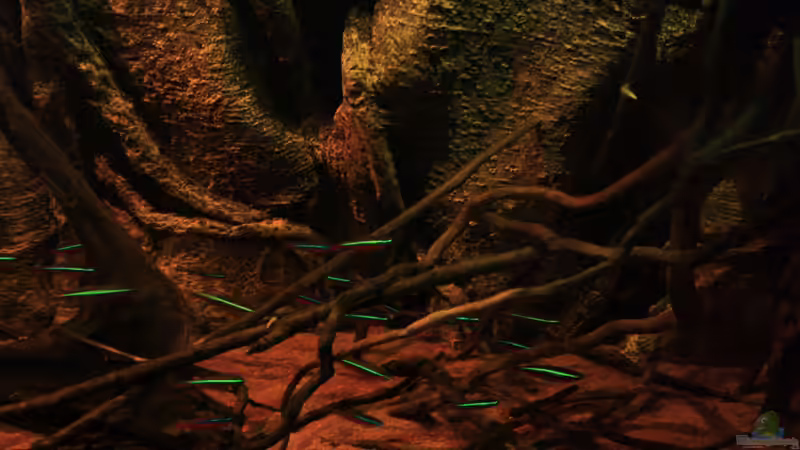 Rote Neons von Bämbel (41)