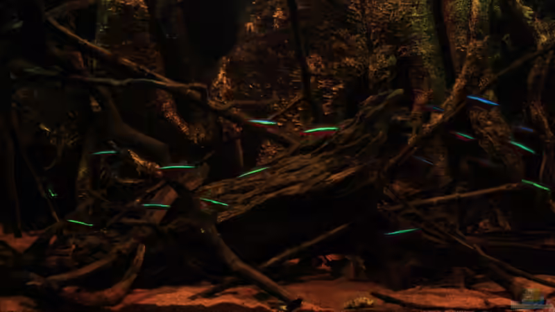 Rote Neons von Bämbel (42)