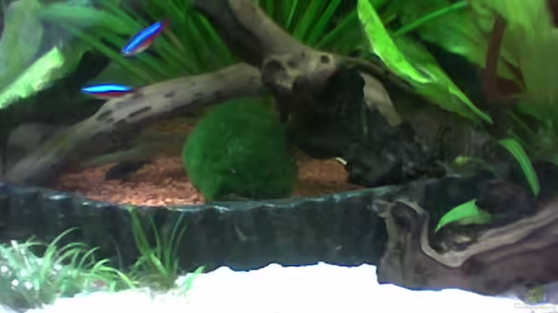 rote neons von Freddy Burghartz (12)