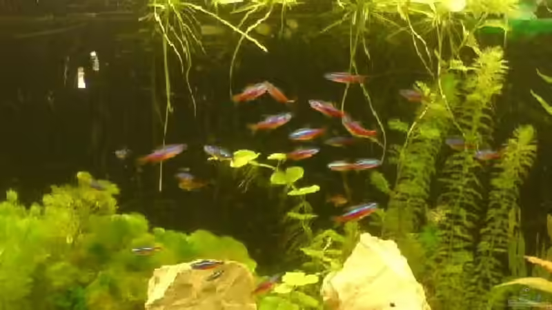 Rote Neons von Jan Wilhelm (10)