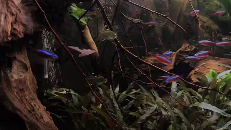 Rote Neons von Raven887 (71)