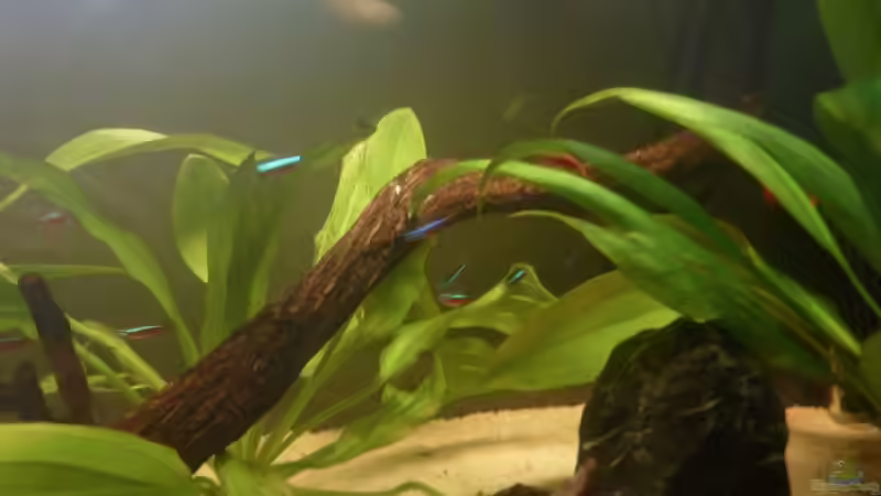 Rote Neons von Sebastian K. (5)