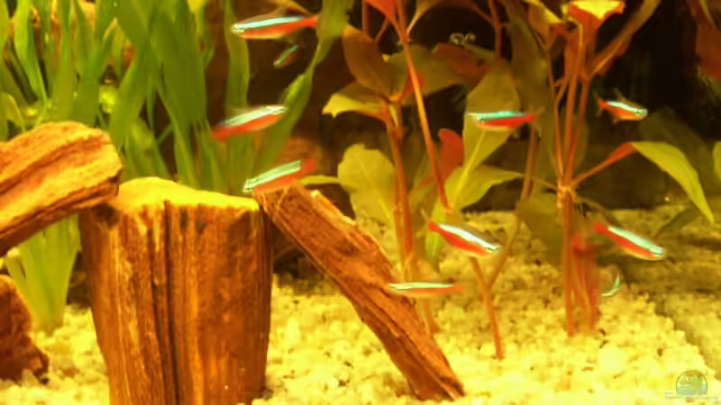 rote Neons von Steffen Wenzel (10)