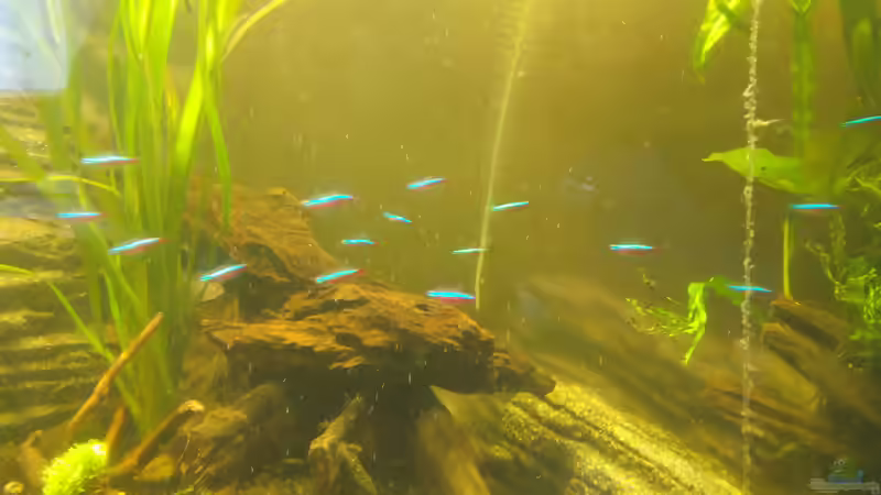 Rote Neons von Thorsten G. (29)