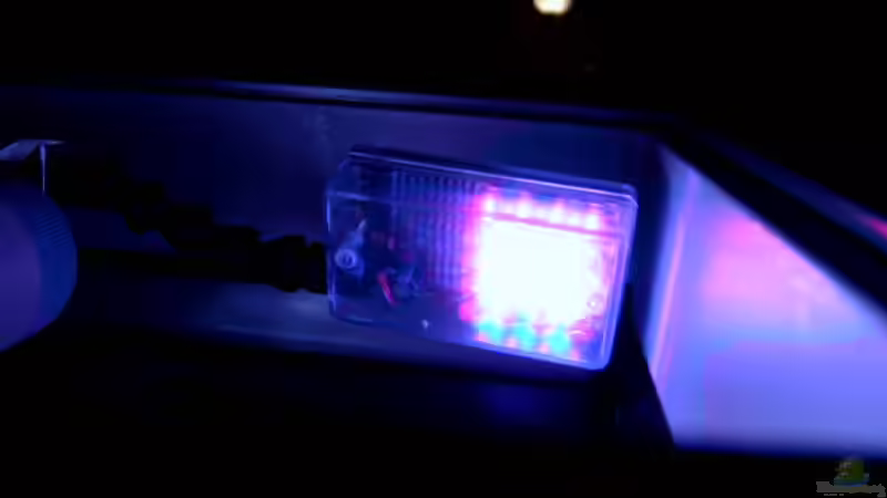 Rote und Blaue LEDs von Josef Knauer (18)