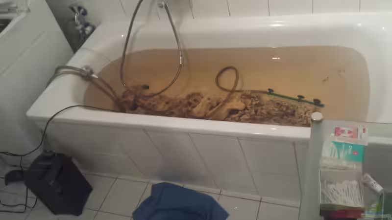 Routine am Aquarium - Warum weniger oft mehr ist