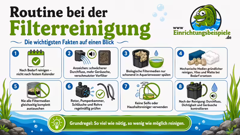 Routine bei der Filterreinigung: So bleibt der Aquariumfilter dauerhaft leistungsfähig