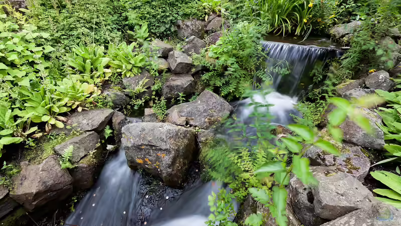 Royal Botanic Garden Edinburgh - Ein Paradies für Natur- und Gartenliebhaber