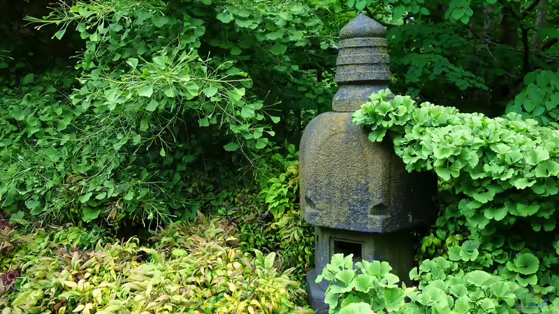 Royal Botanic Gardens - Kew, London: Ein Paradies für Garten- und Naturfreunde