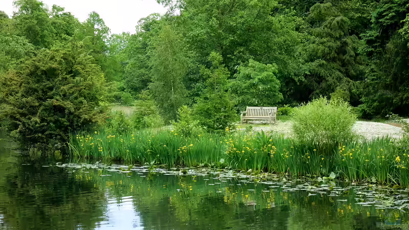 Royal Botanic Gardens - Kew, London: Ein Paradies für Garten- und Naturfreunde
