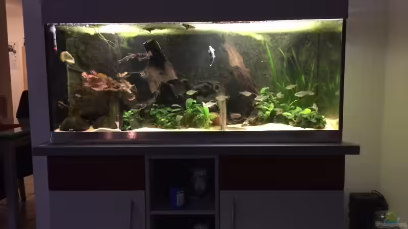 Rubens Westafrika von Rubens (1)