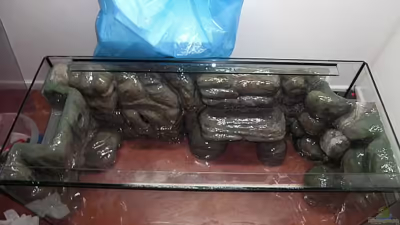 Rück- und Seitenwände werden eingeklebt von Malawi TOM (25)