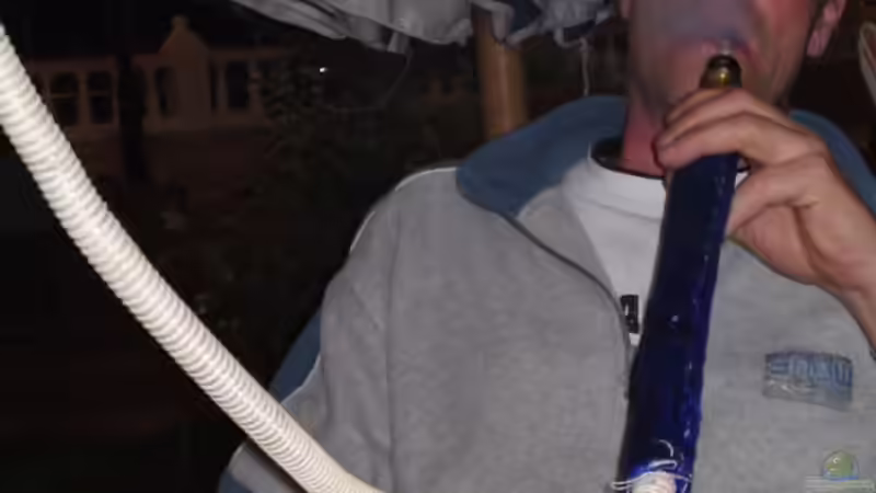 Rück-und Vorblick