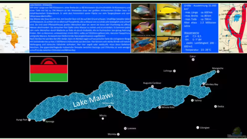 Rückansicht- Infoseite für Besucher. von boffix (9)