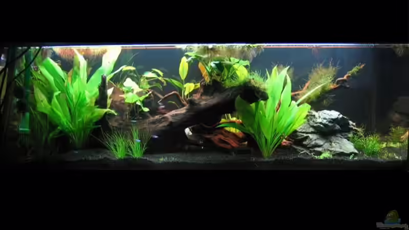 Rückansicht 27.6.2010 von Marco B. (4)