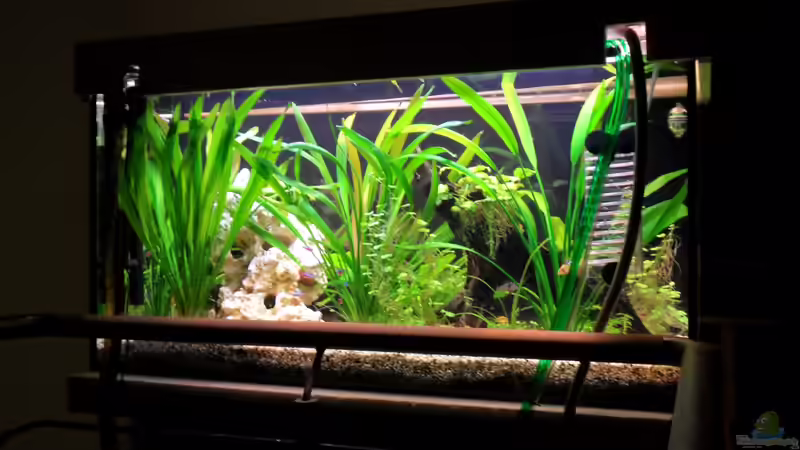 Rückansicht des Beckens von Sabrina + Michi (2)