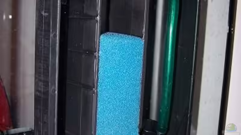 Rückansicht des eingeklebten Innenfilters vor dem Einrichten von Wolfgang Fischer (4)