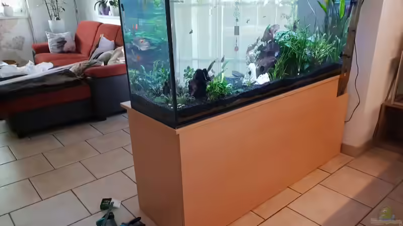 Rückansicht neu Verkleidet von Manuela&Mike (19)