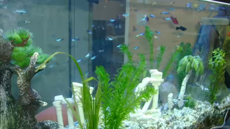 Rückansicht (vom Schreibtisch aus) von Robert Bratzik (4)