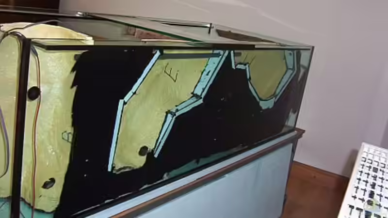 Rückansicht von ajot (9)