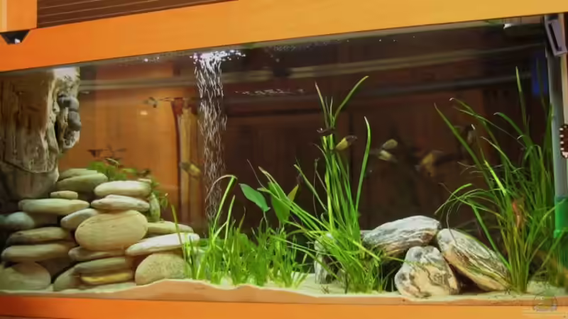 Rückansicht von Hubert Demonty (3)