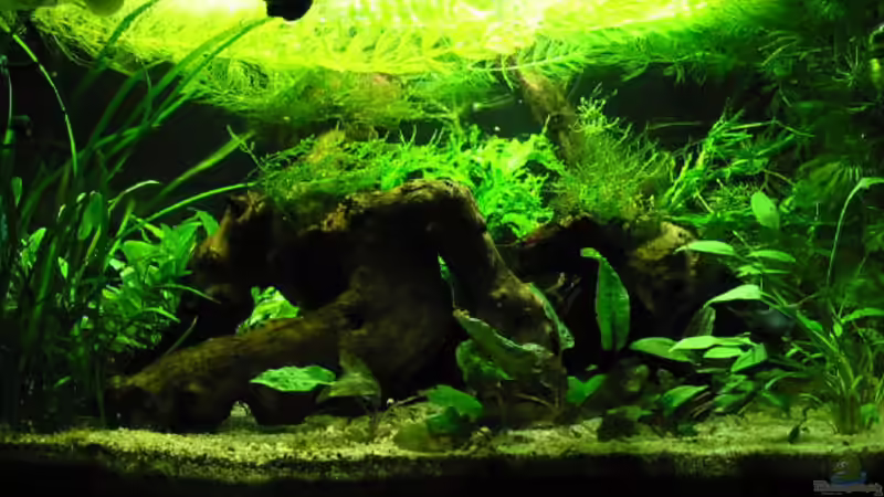 Rückansicht von Münker Stephan (2)