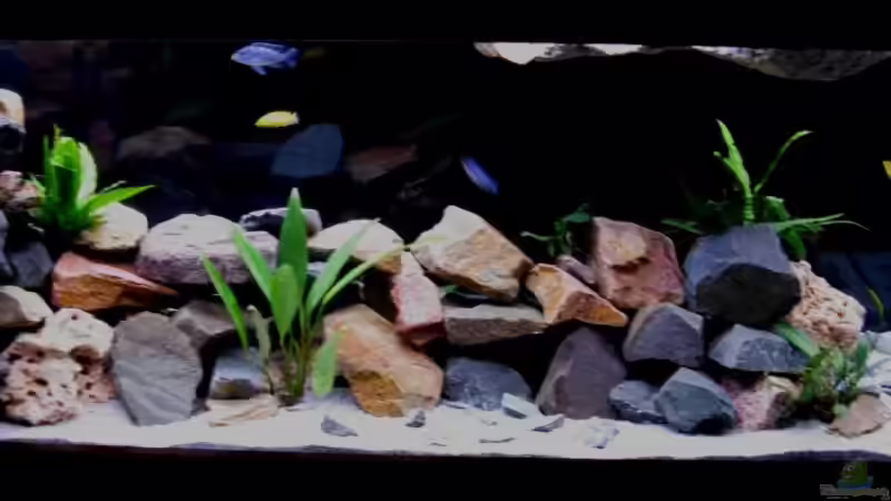 Rückansicht von Udo´s - Malawi Raumteiler (2)