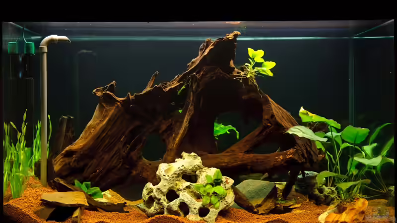 Rückansicht (Vorzimmerseite) 2011 von Daniel80 (6)