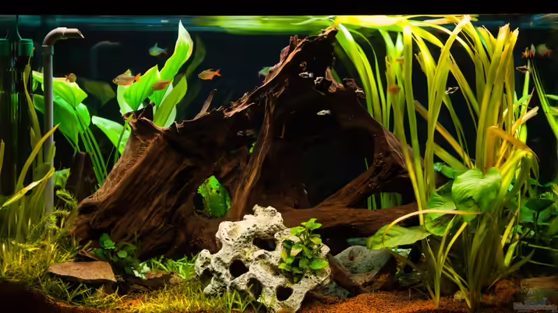 Rückansicht (Vorzimmerseite) 2012 von Daniel80 (3)