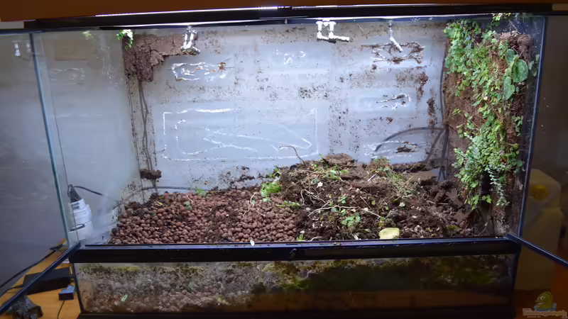 Rückbau von Junglist (4)