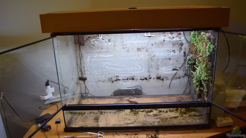 Rückbau von Junglist (5)