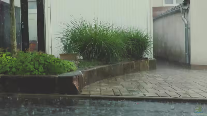 Rückblick: Was der Juli 2025 den Gärten brachte