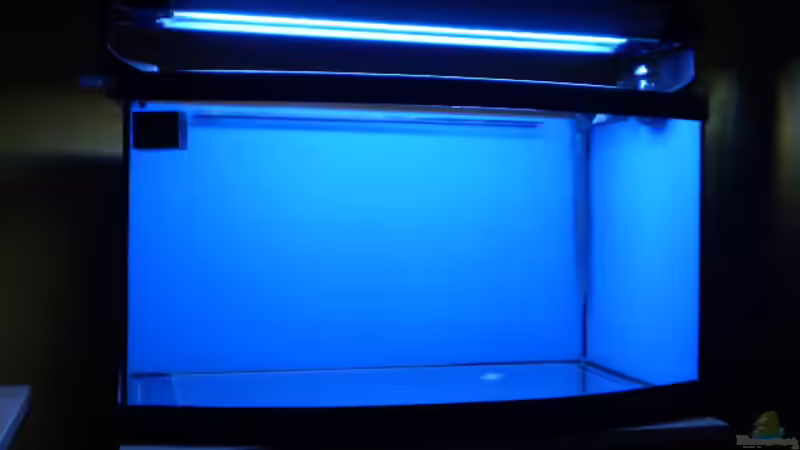 Rückewand Folie geklebt von Sven K. (3)