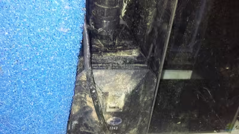 Rückförderpumpe in Technik Kammer von Christian Höse (24)