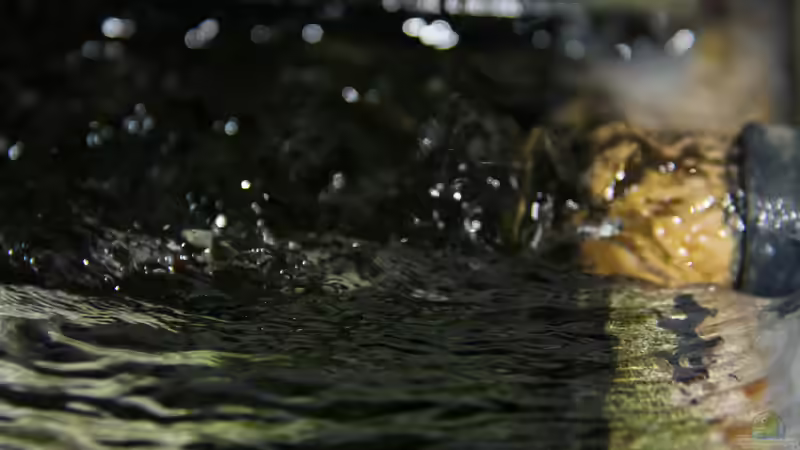 Rücklauf der Außenfilter an der Oberfläche von Dirkan (16)