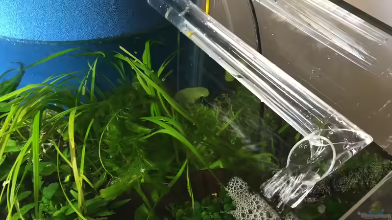 Rücklauf Filter von Torsten Franke (17)