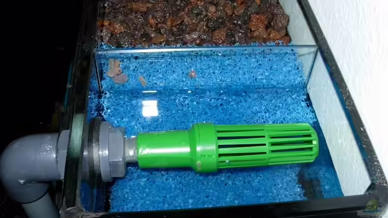 Rücklauf ins Aquarium von Daniel Riedel (15)