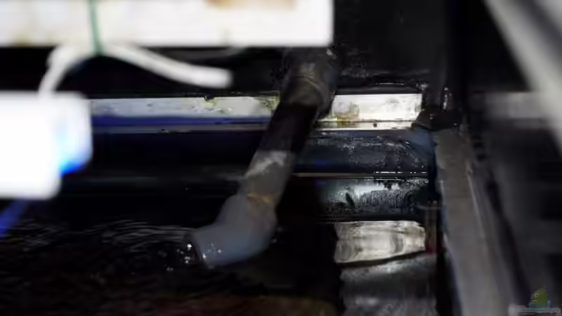 Rücklauf ins Becken - rechte Beckenseite von Oeli (57)